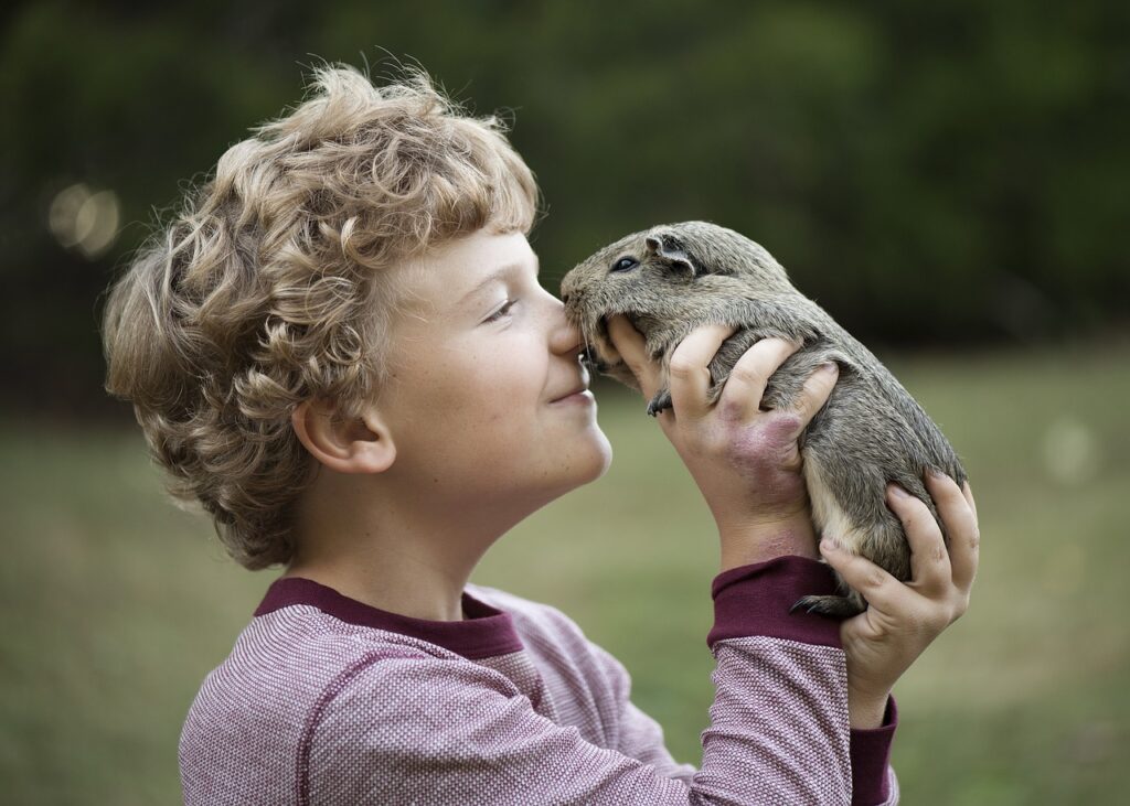 do guinea pigs bite