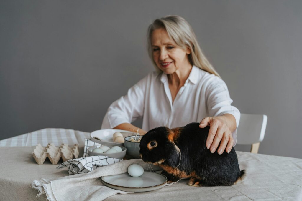 black otter holland lop